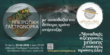 prosklisi ekdilosis ig ioannina 3 6 2026